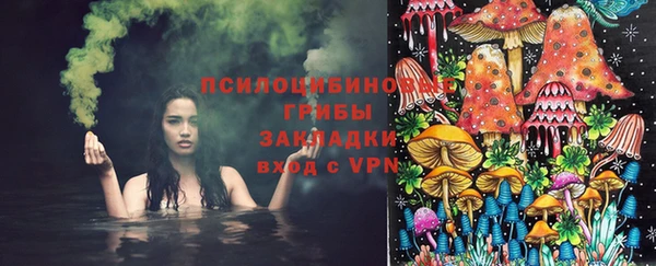 винт Арсеньев