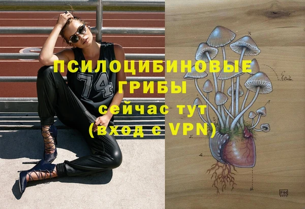 винт Арсеньев